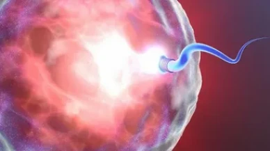 Annelik hayalini erteleyenler yaygınlaşıyor!