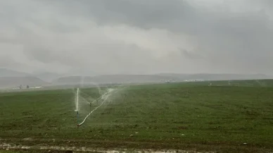 Karla Kaplı Arazide Kaçak Elektrikle Sulama Yapıldı