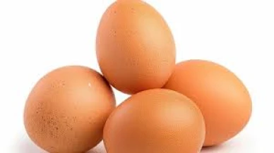 Yumurta üretiminde son 3 yılın rekoru!