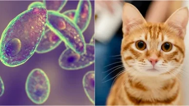 Kişisel hijyen en önemli korunma yöntemi