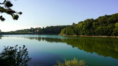 Su,Orman: Doğanın, Refahın,Eşitliğin Temel Taşları