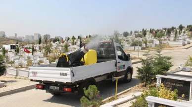 İBB’den sivrisinek mücadelesi