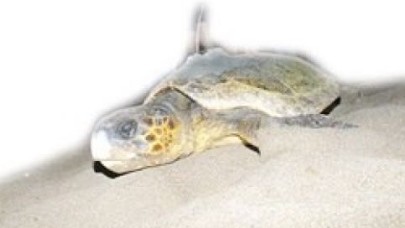 Gazze ambargosunu deldi