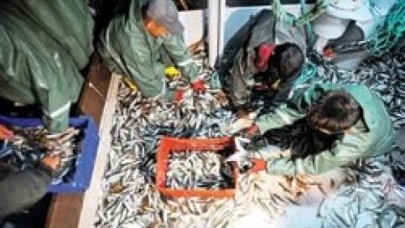 Ağlar dolsun ‘çinakop’suz olsun