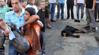 Rottweiler kafasından vuruldu ölmedi