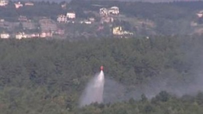 Beykoz'da orman yangını
