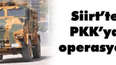 Siirt'te PKK'ya operasyon