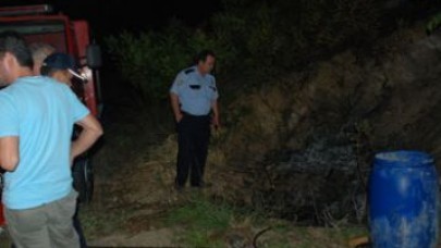 Mangal yerine ormanı yaktılar