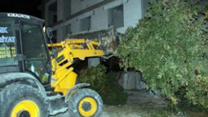 Ağaç başı 3 bin TL ceza