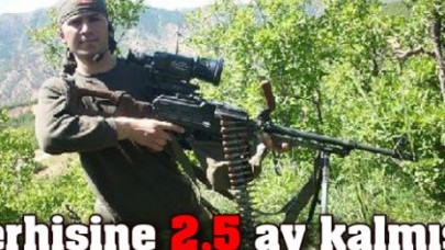 Terhisine 2,5 ay kala şehit düştü