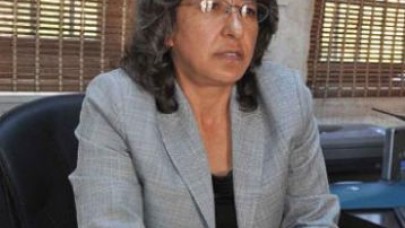 BDP'li başkandan 'Kürdistan' açıklaması