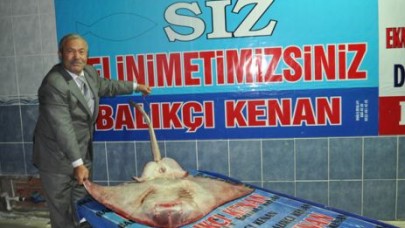 BALIKÇILAR DENİZDEN ÇIKANA ŞAŞIRDI!