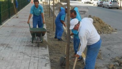 BEYLİKDÜZÜ’NDE AĞAÇ DİKİM MEVSİMİ BAŞLADI