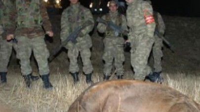 Angus askeri bölgeye girerse...