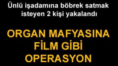 Polisler organ çetesini çökertti