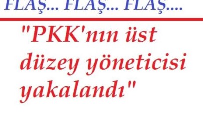 "PKK'nın üst düzey yöneticisi yakalandı"