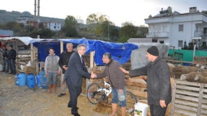 HER PERŞEMBE HAYVAN PAZARI KURULUYOR