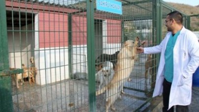 Başakşehir’de Hayvanlara  Şefkat Barınağı