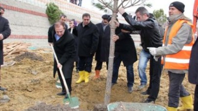 Abdullah Gül Parkı’na ithal ağaçlar dikildi
