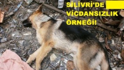 KİM BU VİCDANSIZLAR?