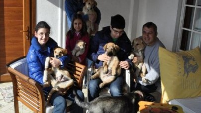 BÖYLE SİTE GÖRÜLMEDİ...