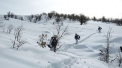 Şırnak'ta 15 PKK'lı Böyle Öldürüldü