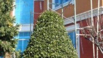 Boyacılar da AB standartı