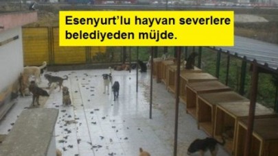 Hayvan barınağının kapasitesi artacak