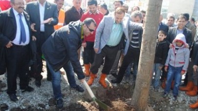 Esenyurt'ta medya ormanı!