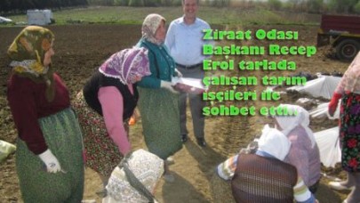 TARLAYA KARPUZ EKTİK!