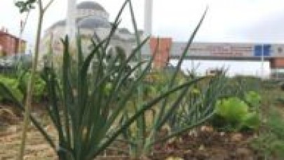 Cezaevi Önünü Sebze Bahçesine Çevirdiler