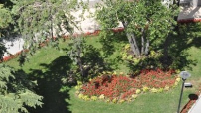 BAŞKAN BİZİ BAŞTAN YARAT...!