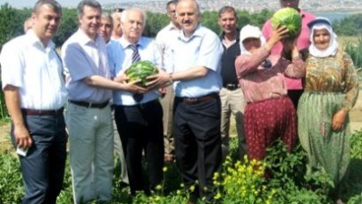 Kaymakam Gündüz ve Başkan Erol Karpuz Tarlasında!..