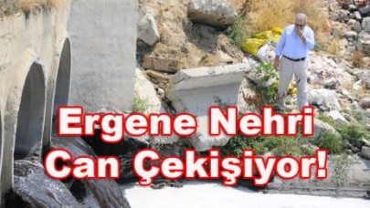 Ergene Nehri Can Çekişiyor Yöneticiler Seyrediyor