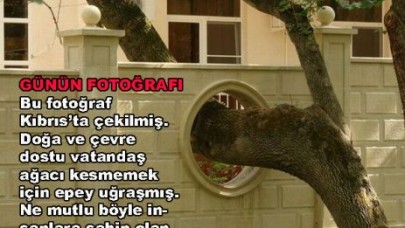 GÜNÜN FOTOĞRAFI