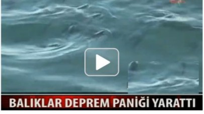 MARMARA DENİZİ'NDE KORKUTAN GÖRÜNTÜ...