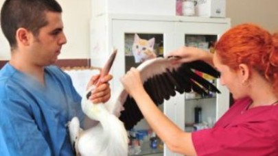 LEYLEK BAKIMA ALINDI..