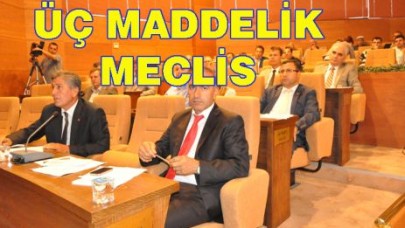 ÜÇ MADDELİK MECLİS