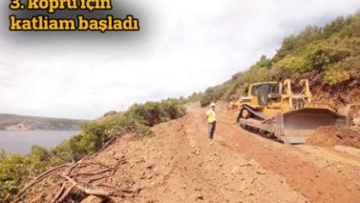 3. köprü için ağaç kıyımı