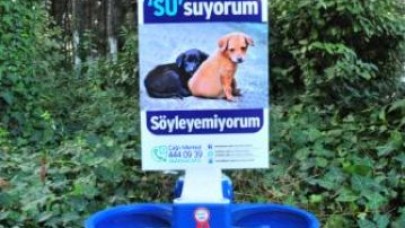 Sokak hayvanları susuz kalmasın!