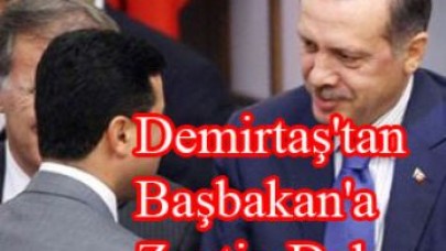 Demirtaş'tan Başbakan'a Zeytin Dalı