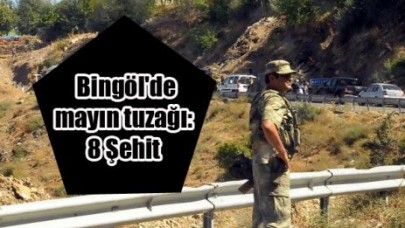 Bingöl'de mayın tuzağı: 8 Şehit