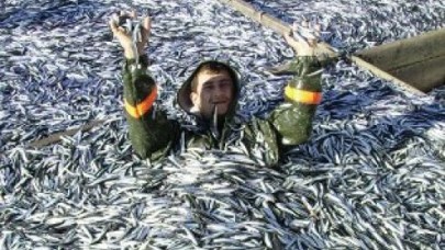 Balıkçının yüzü gülüyor