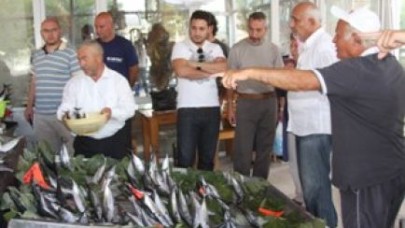 Marmara'da palamut bereketi