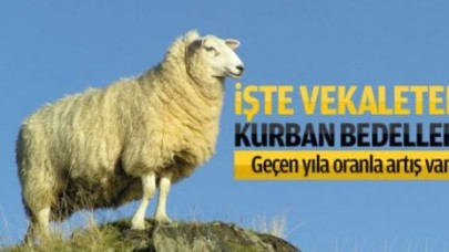 THK Kurban bedelini açıkladı