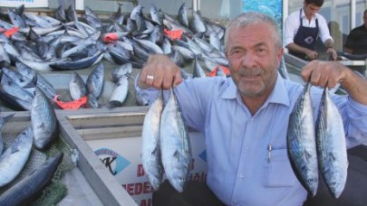 Denizden kum gibi palamut akın etti