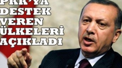 PKK'ya destek veren ülkeleri açıkladı