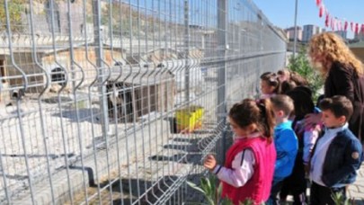 Beylikdüzü`nde Hayvanları Koruma Günü etkinliği