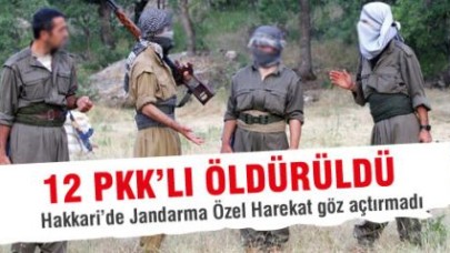 12 Terörist Etkisiz Hale Getirildi