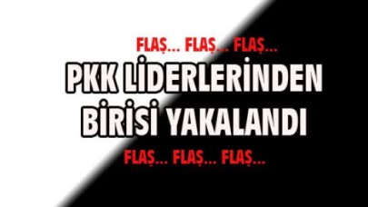 PKK'nın liderlerinden biri yakalandı